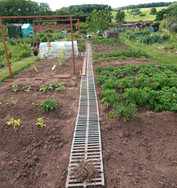 plastic pathway
